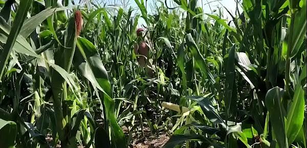  Riley Jacobs playing in corn field